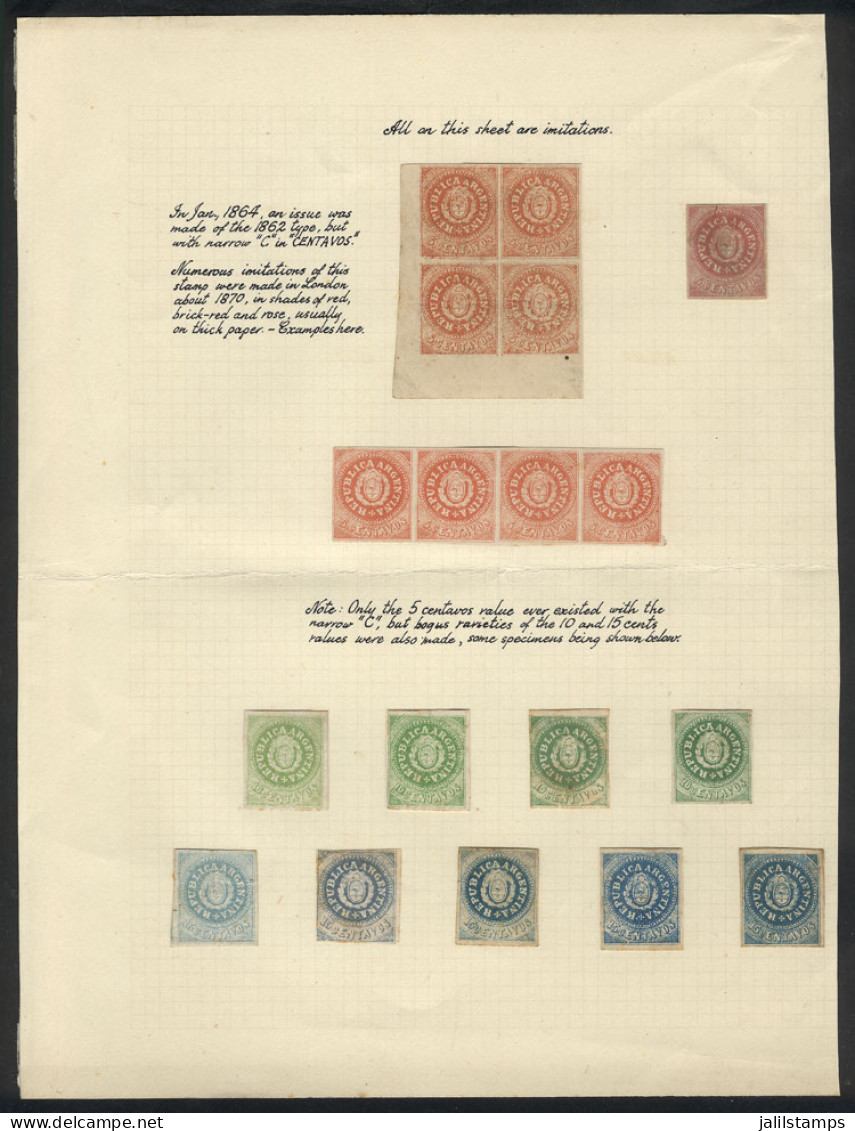 ARGENTINA: Album Page Of A Very Old Collection With 18 Stamp FORGERIES Or REPRINTS, Including A Block Of 4 And A Strip O - Ungebraucht