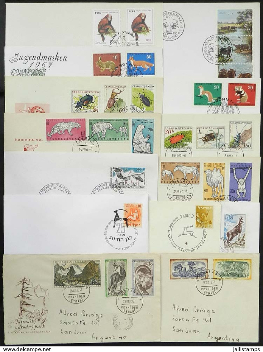 WORLDWIDE: TOPIC FAUNA: 14 FDCs Of Various Countries, Very Nice! - Lots & Kiloware (max. 999 Stück)