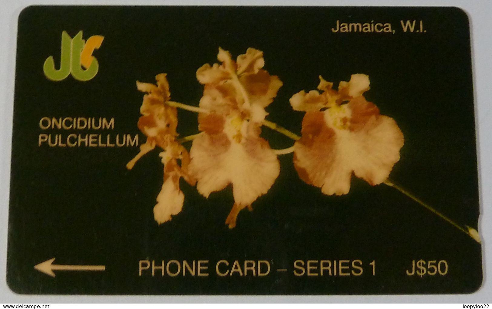 JAMAICA - GPT - Oncidium Pulchellum - Coded Without Control - $50 - Used - Giamaica