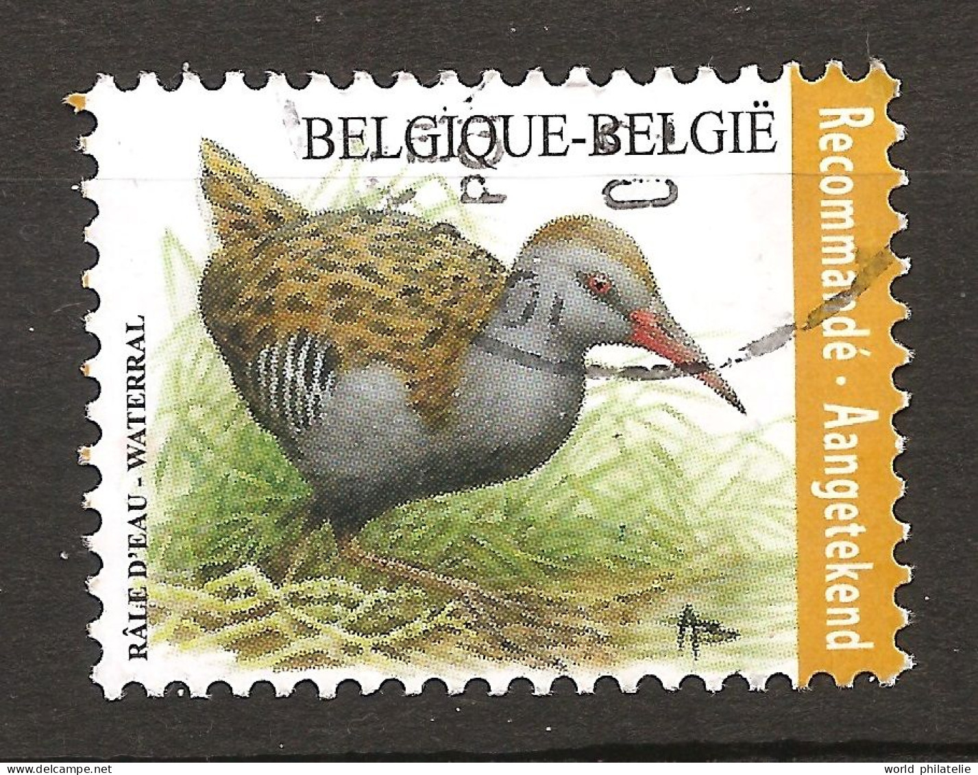 Belgique Belgie 2017 N° 4641 O Courant, Oiseau, Rallus Aquaticus, Râle D'eau, Waterral, Omnivore, Migrateur, Bird - Used Stamps