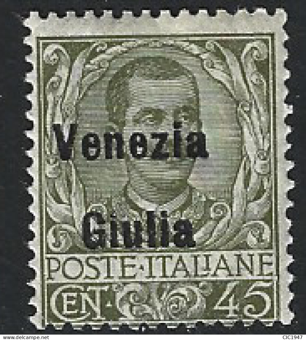 Occupazioni Venezia Giulia  Il 45 Cent Nuovo Mnh** - Vénétie Julienne