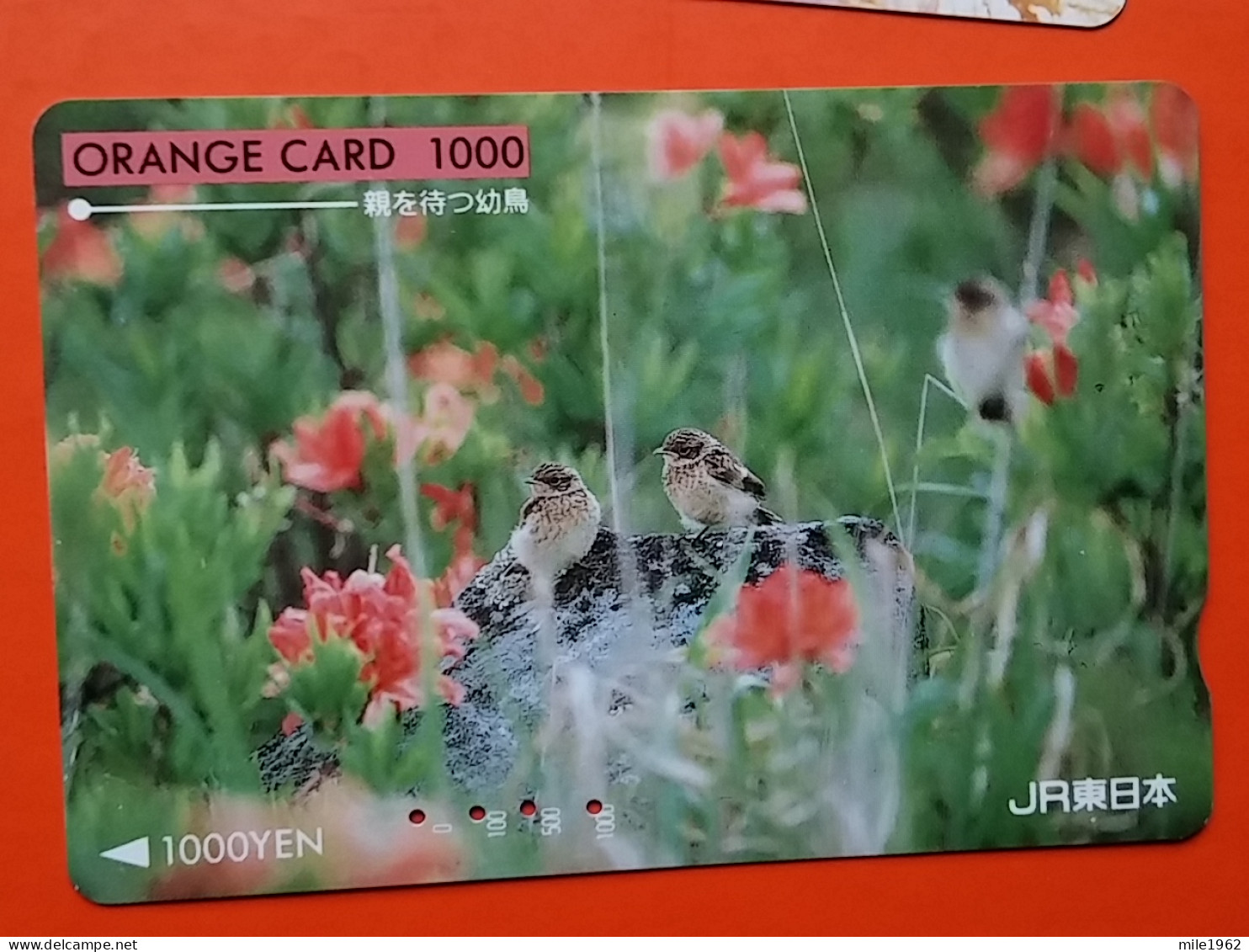 T-180 - JAPAN -JAPON, NIPON, Carte Prepayee - Bird, Oiseau - Autres & Non Classés