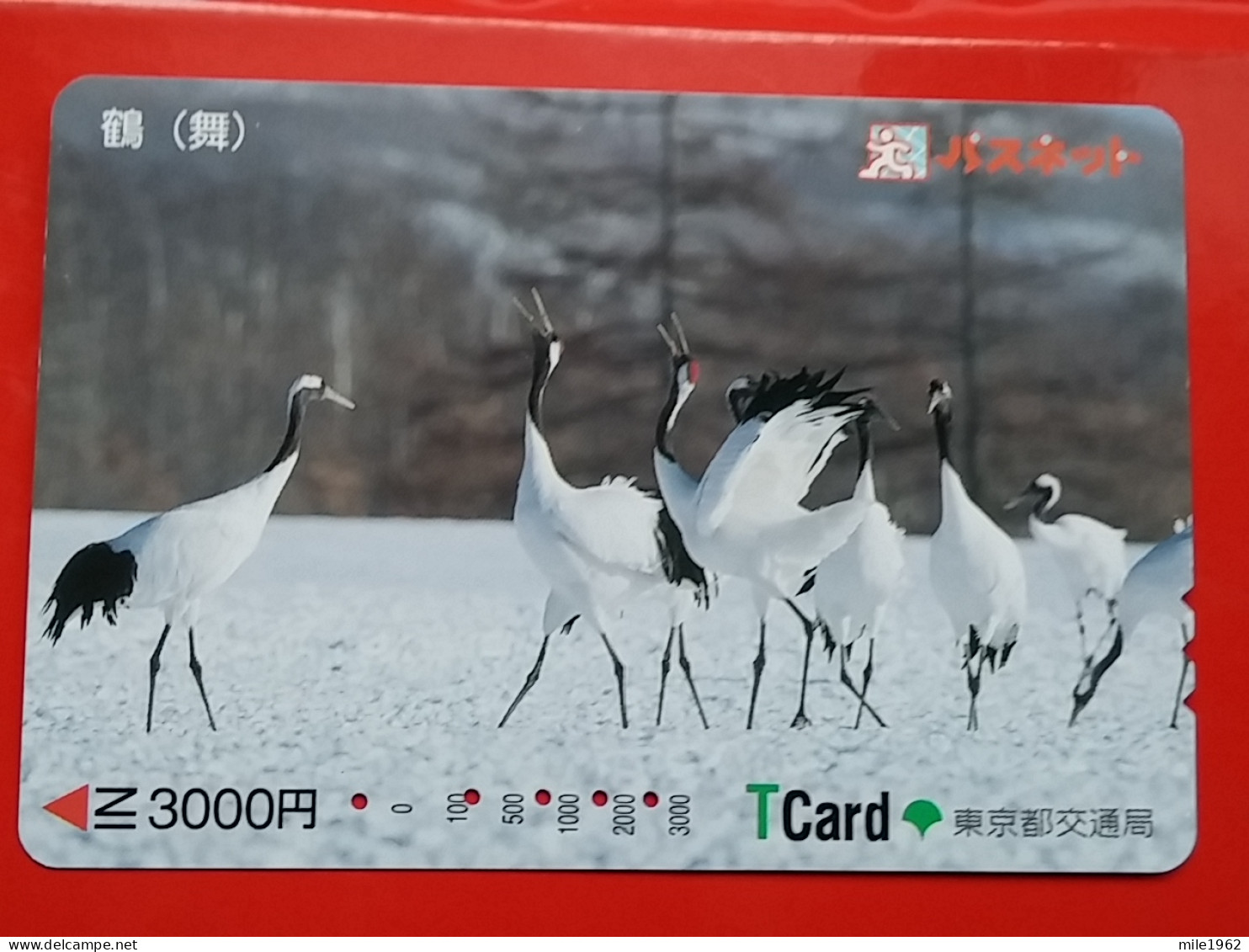 T-181 - JAPAN -JAPON, NIPON, Carte Prepayee - Bird, Oiseau,  - Sonstige & Ohne Zuordnung