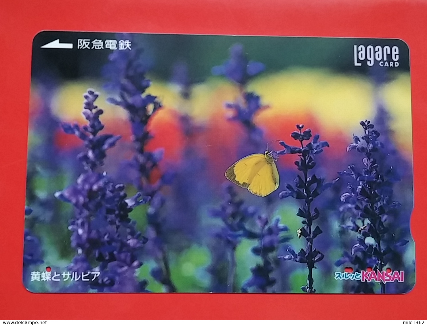 T-182 - JAPAN -JAPON, NIPON, Carte Prepayee - Butterfly, Papillon - Butterflies