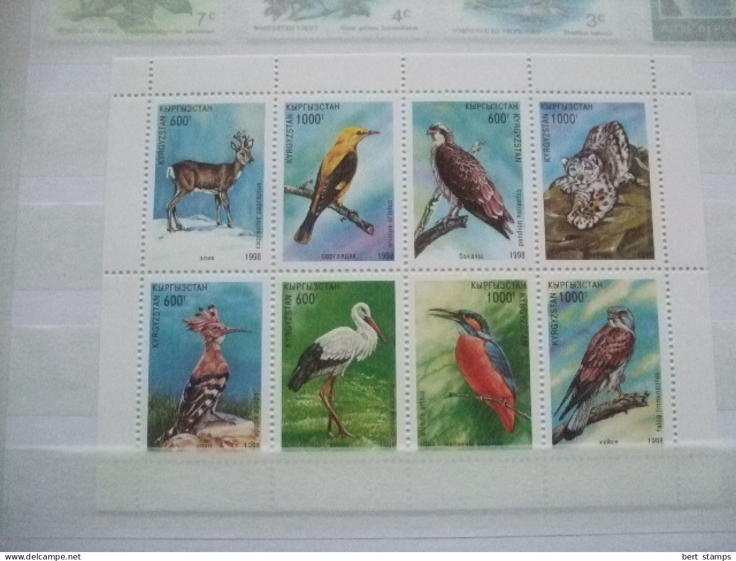 Birds Nice Collection In Stockbook MNH - Konvolute & Serien