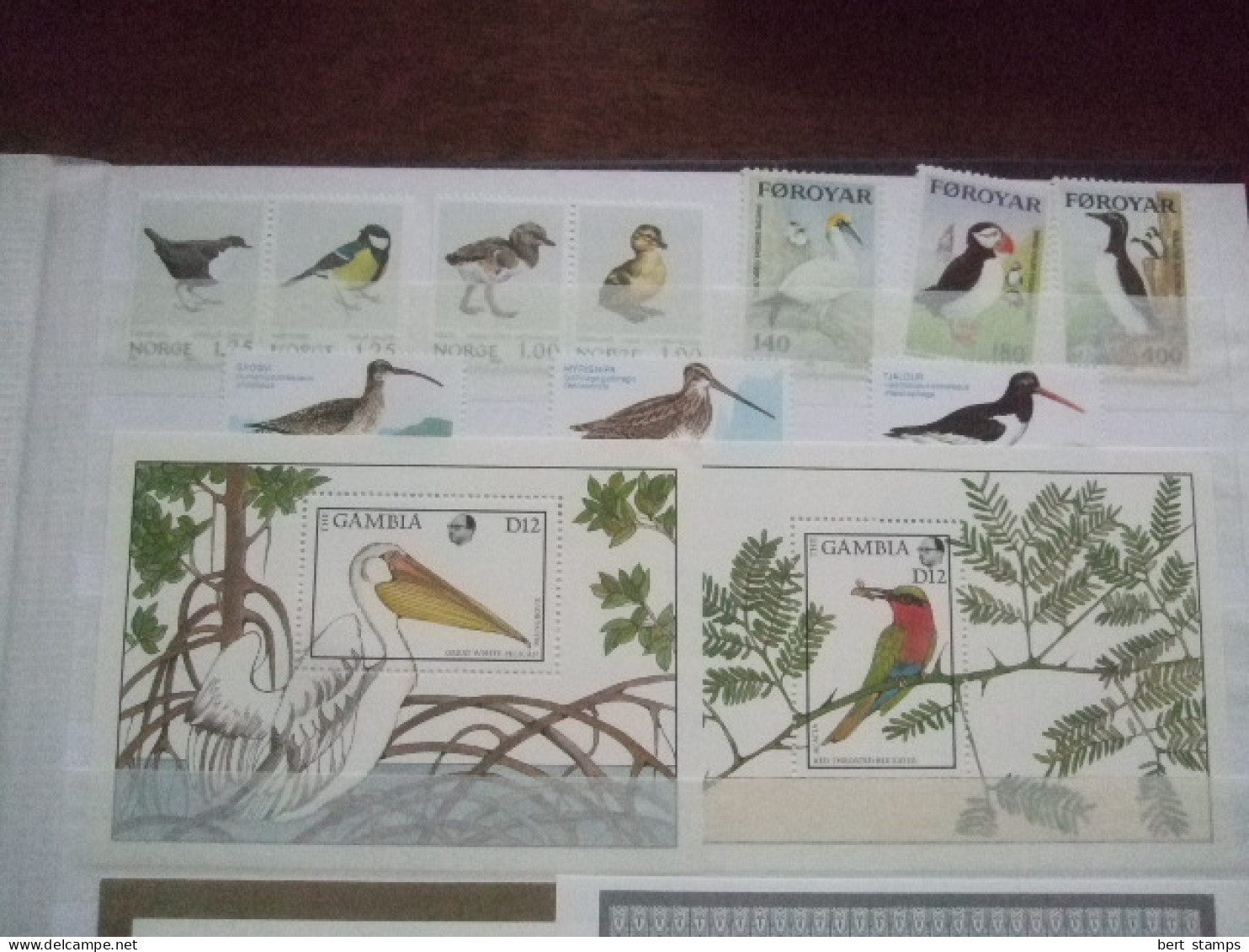 Birds Nice Collection In Stockbook MNH - Konvolute & Serien