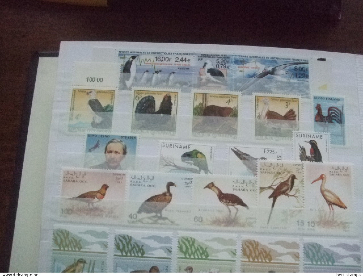 Birds nice collection in stockbook MNH