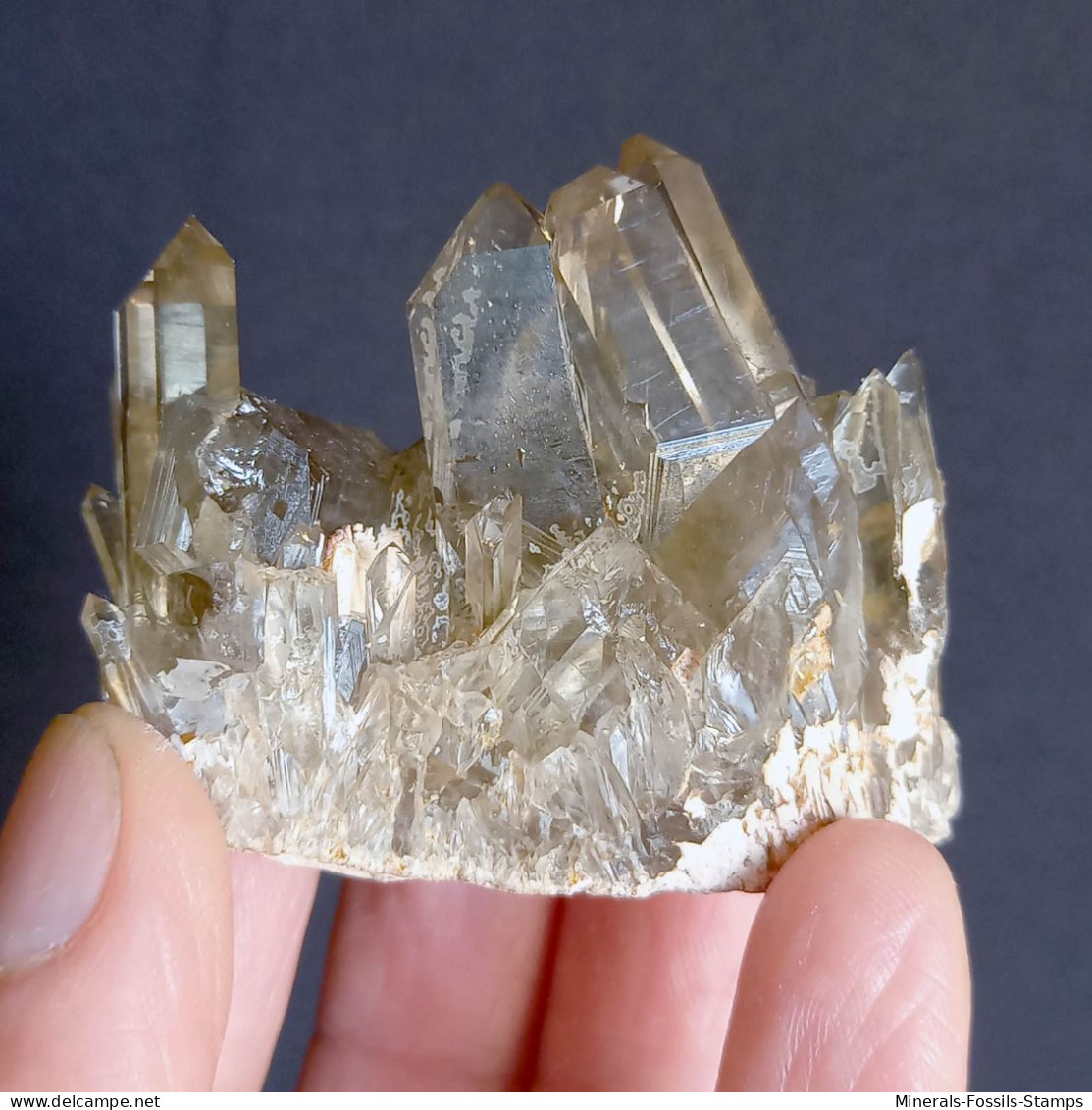 #22 - SPLENDIDO QUARZO MORIONE Cristalli (Kara-Oba W Deposit, Moiynkum, Jambyl Region, Kazakhstan) - Minerals