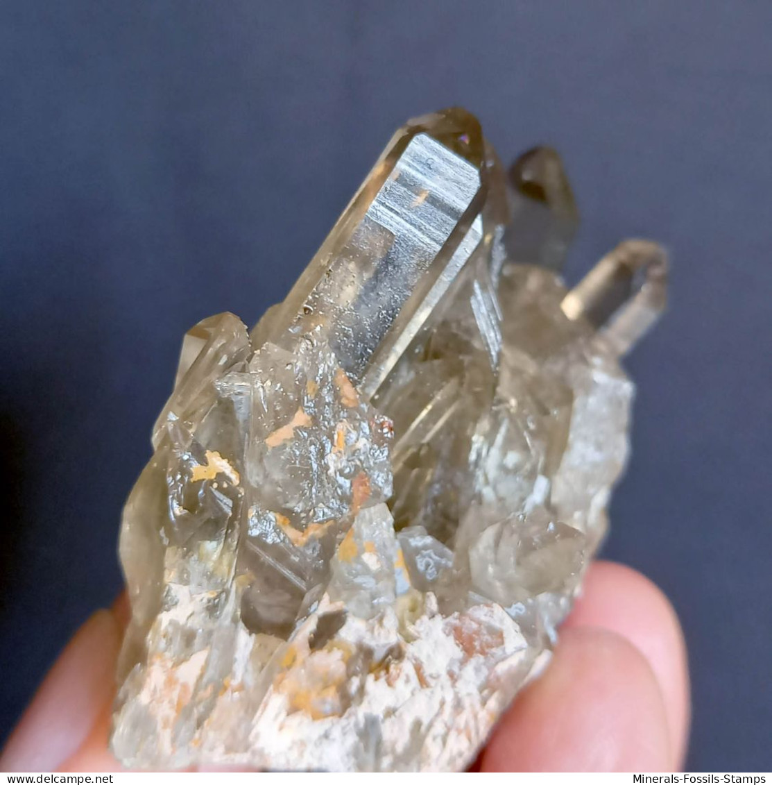 #22 - SPLENDIDO QUARZO MORIONE Cristalli (Kara-Oba W Deposit, Moiynkum, Jambyl Region, Kazakhstan) - Minerals