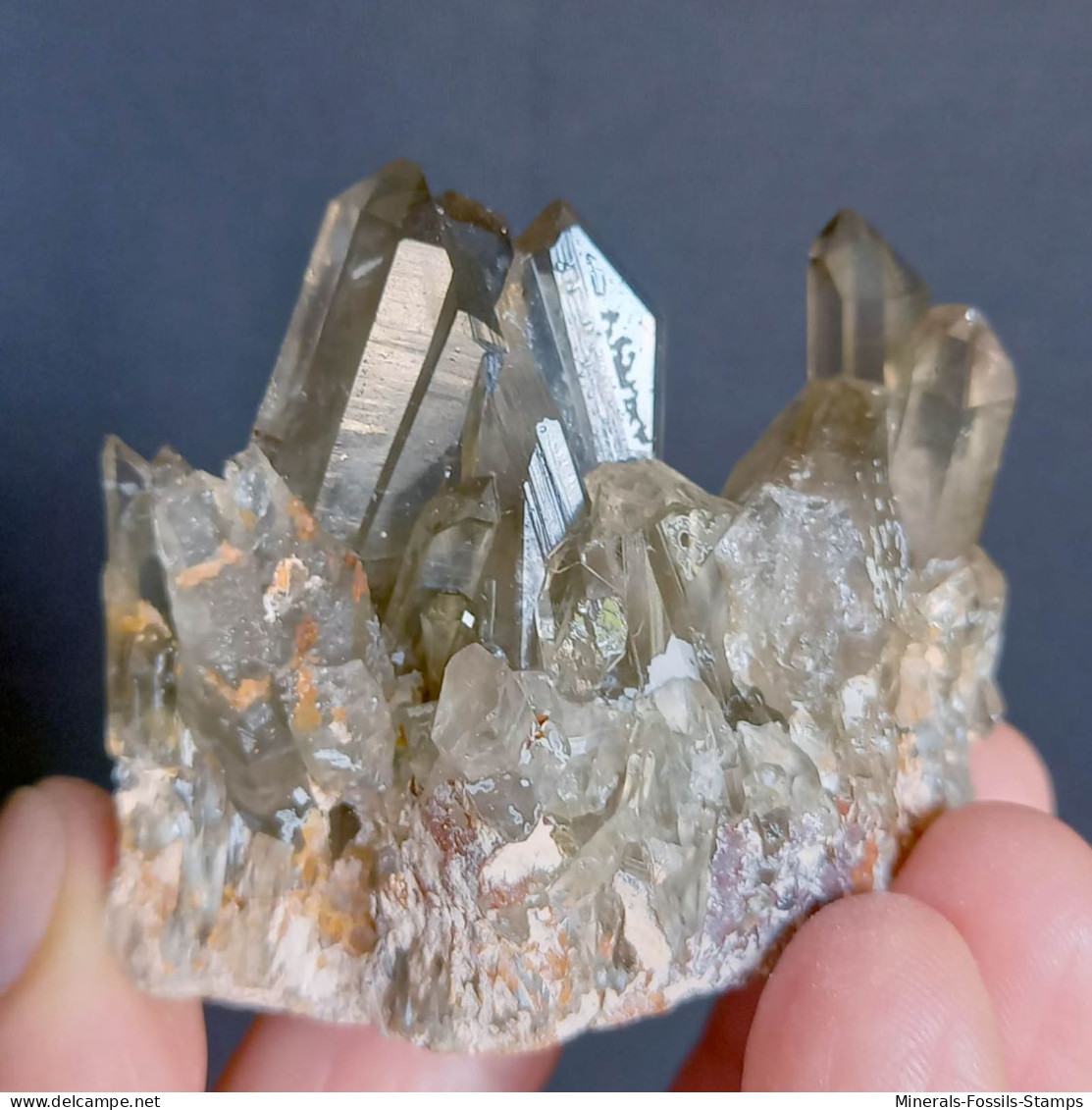 #22 - SPLENDIDO QUARZO MORIONE Cristalli (Kara-Oba W Deposit, Moiynkum, Jambyl Region, Kazakhstan) - Minerals