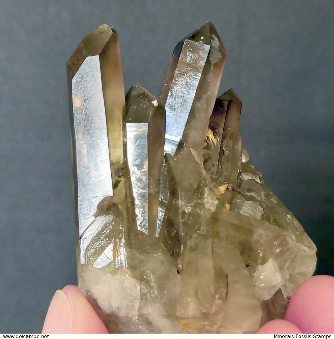 #26 - SPLENDIDO QUARZO MORIONE Cristalli (Kara-Oba W Deposit, Moiynkum, Jambyl Region, Kazakhstan) - Minerali