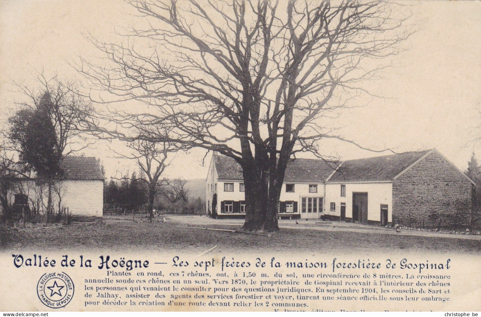 Vallée De La Hoëgne, Les Sept Freres De La Maosin Forestier De Gospinal (pk86905) - Jalhay