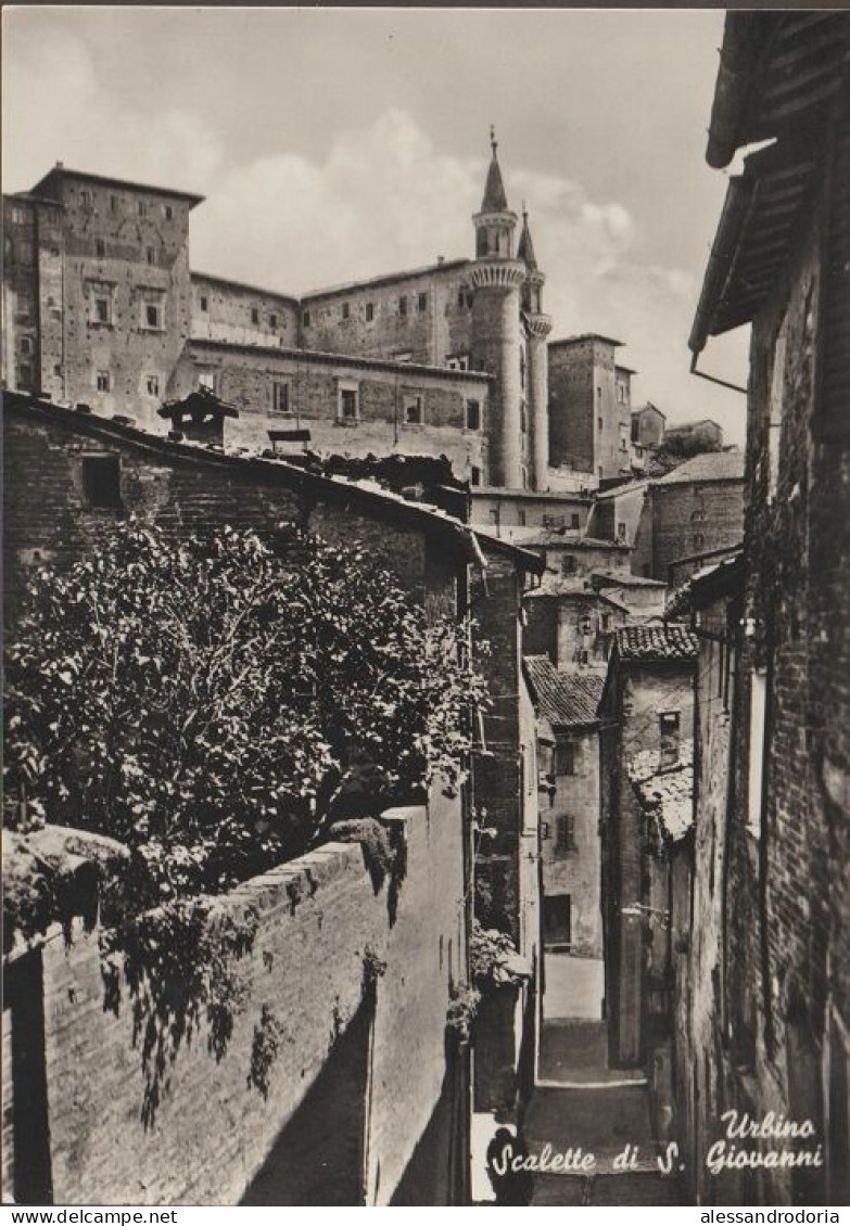 Cartolina Non Viaggiata Urbino Escalier De St. Jean St. Iohn Stairs St Johannes Stiegen - Urbino