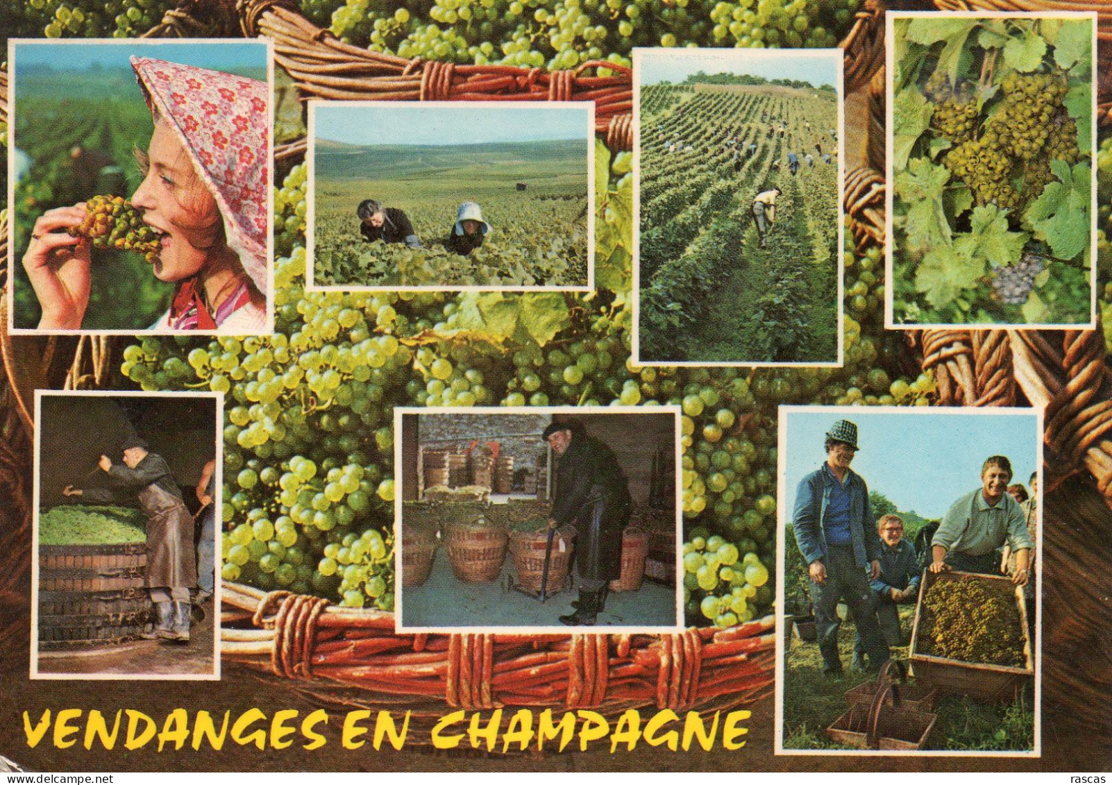 CPSM - VENDANGES EN CHAMPAGNE - MULTIVUES - Champagne-Ardenne