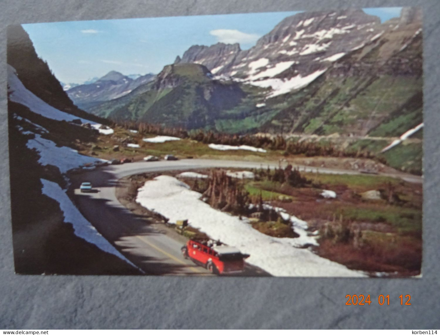 SCENIC COACH    GLACIER NATIONAL PARK - Autres & Non Classés