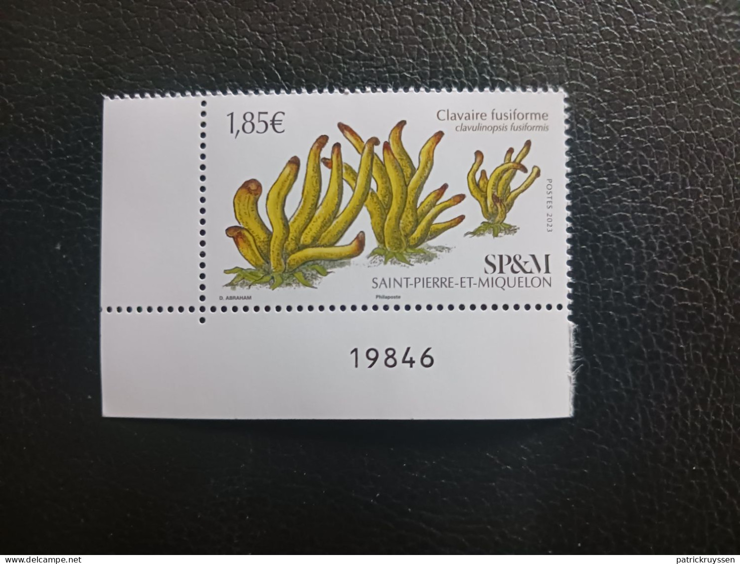 Pierre Miquelon 2023 Mushroom Golden Spindles Clavaire Fusiforme Champignon 1v Mnh CORNER LEFT NUMBER - Ungebraucht