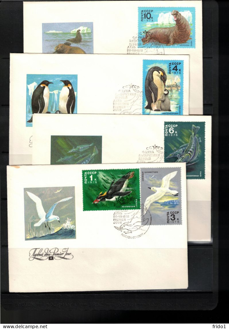 Russia USSR 1978 Antarctica Animals FDCs - Antarktischen Tierwelt