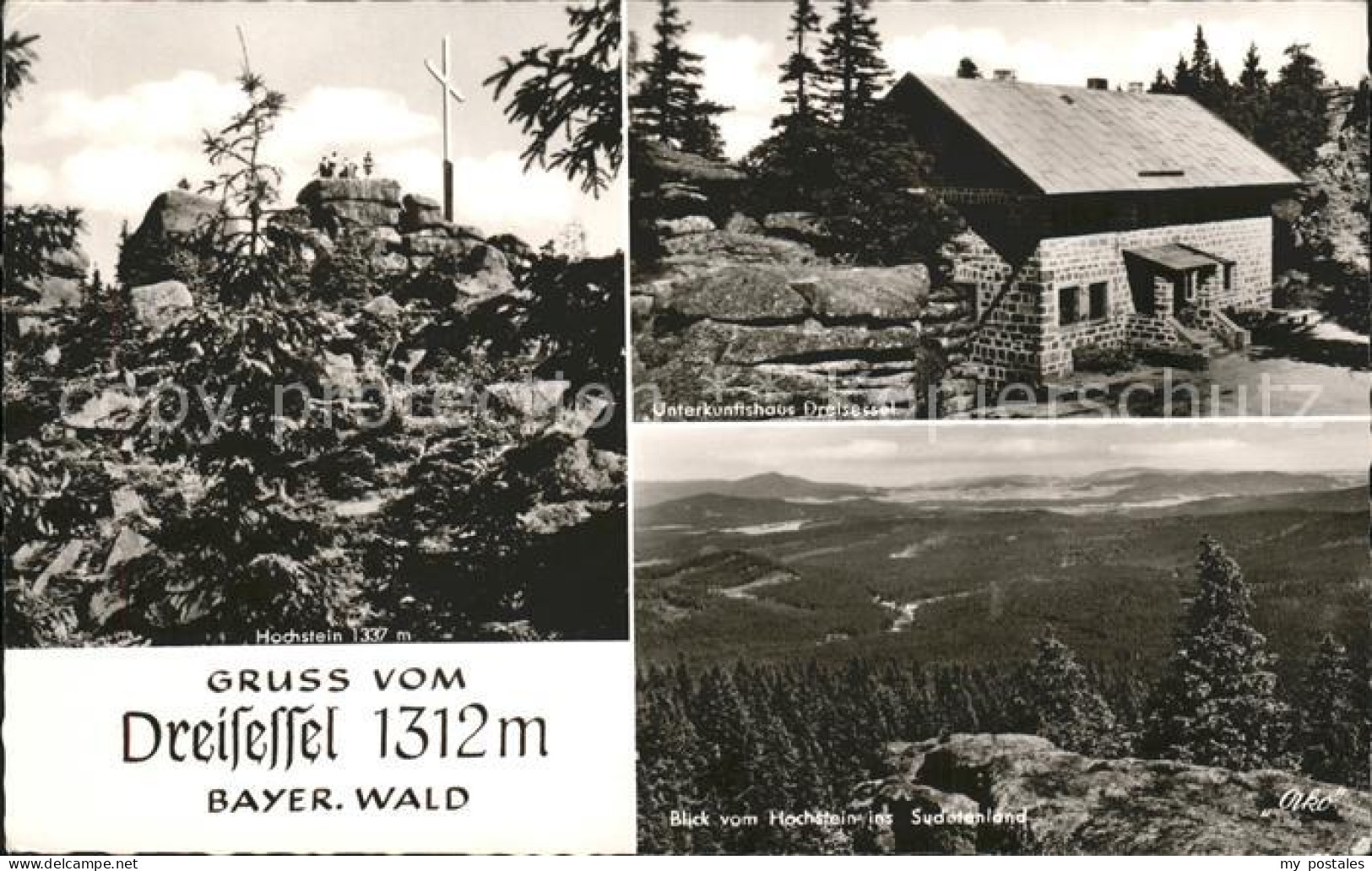 41565442 Dreisessel Hochstein Unterkunftshaus Blick Ins Sudetenland Freyung - Freyung