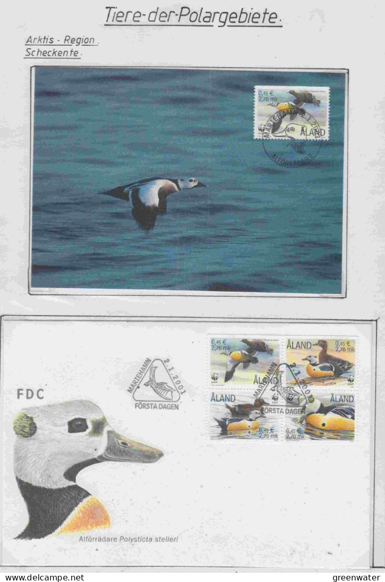 Aland Scheckente Maxicard + FDC (PD161) - Arctic Tierwelt