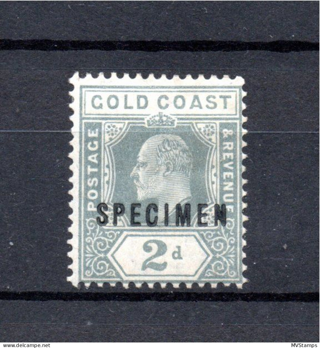 Goldcoast 1902 Old 2 P. Edward Stamp SPECIMEN (Michel 50) Nice MLH - Gold Coast (...-1957)