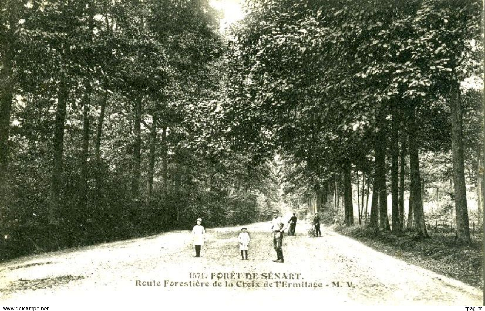 Forêt De Sénart (91 - Essonne) - 1571 - Route Forestière De La Croix De L'Ermitage - Sénart