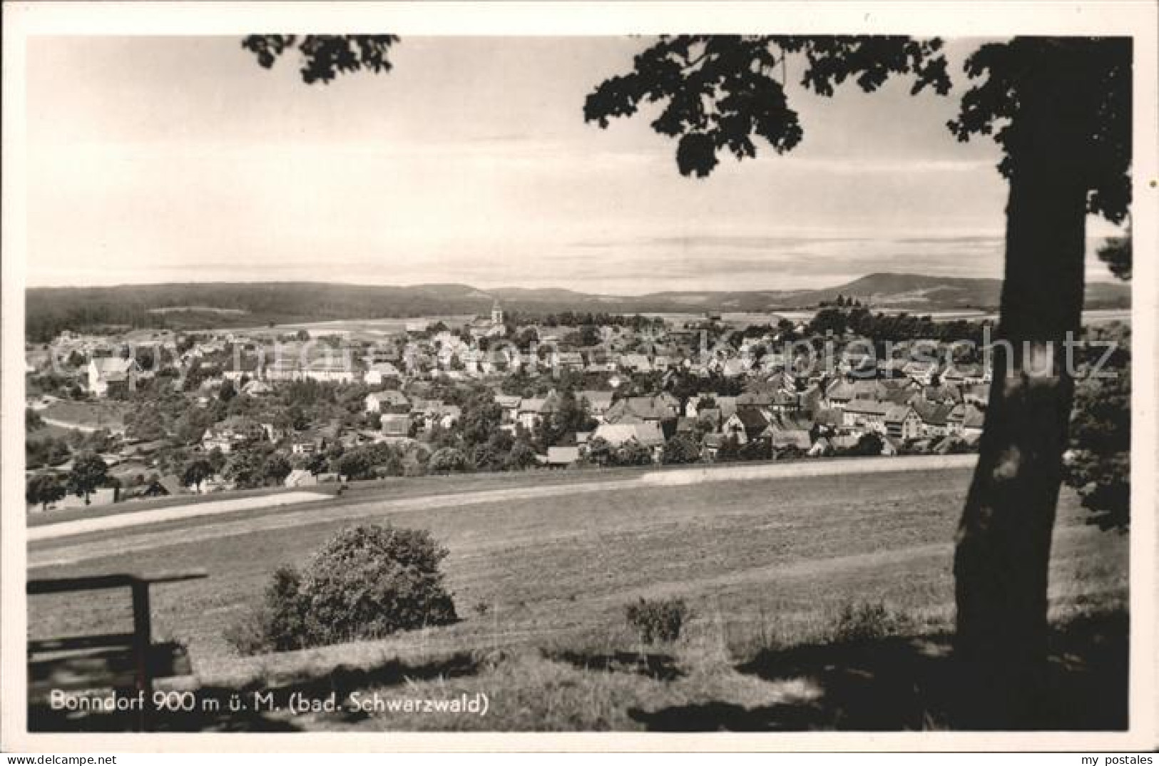 41559419 Bonndorf Schwarzwald Panorama Bonndorf - Bonndorf