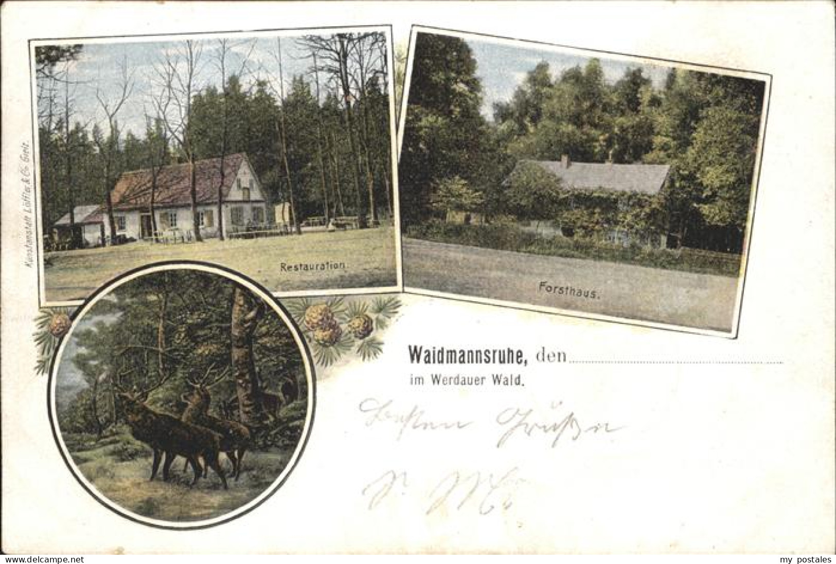 41392965 Werdau Sachsen Waidmannsruhe Restauration Hirsche Forsthaus Werdau Sach - Werdau