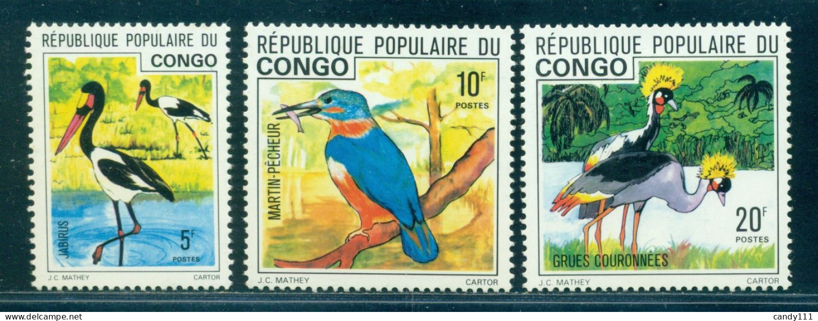 1976 Bird,Saddle-billed Stork,kingfisher,The Black Crowned Crane,Congo,M.544,MNH - Kranichvögel