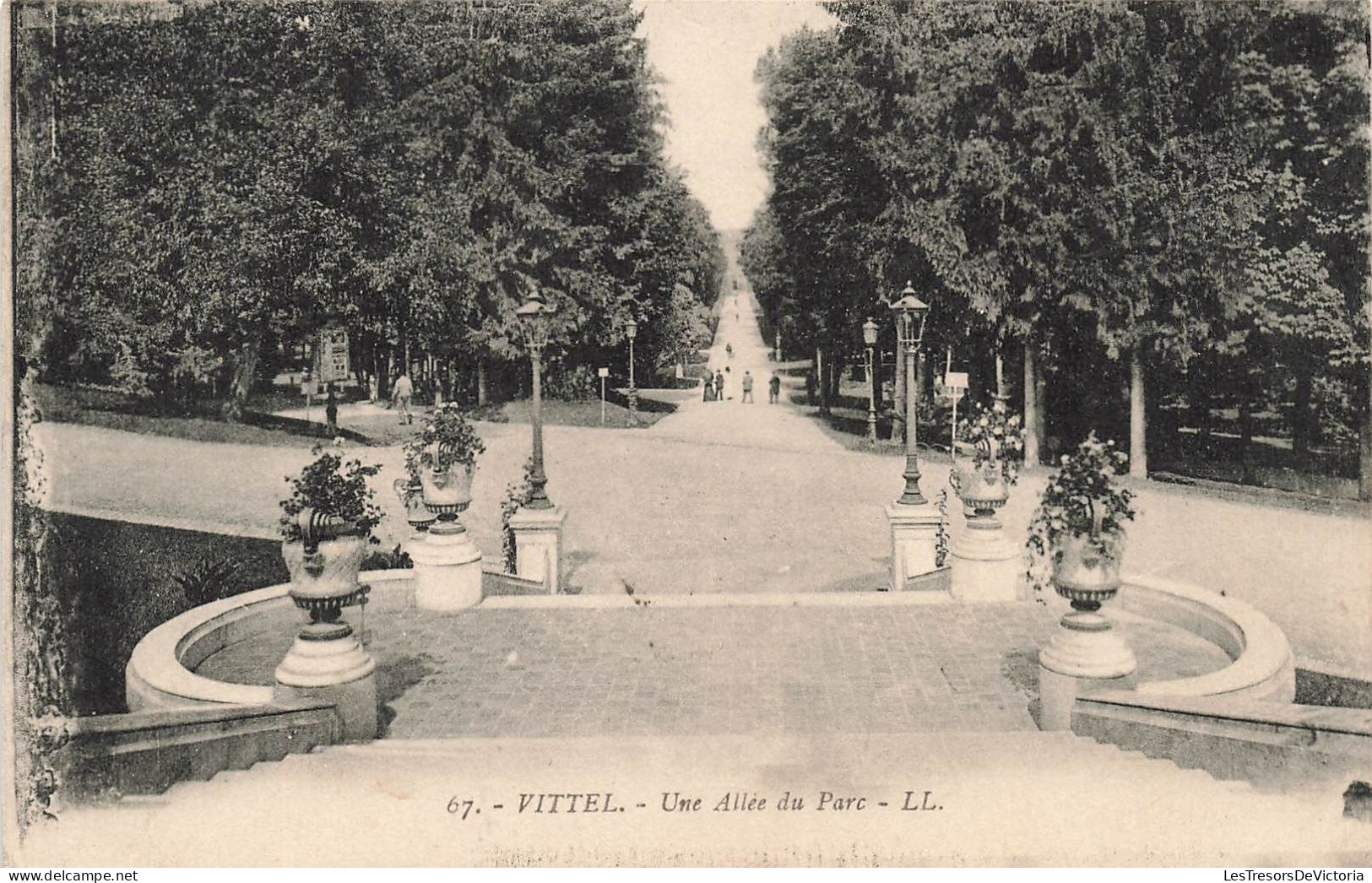 FRANCE - Vittel - Vue Sur Une Allée Du Parc - LL - Carte Postale Ancienne - Vittel