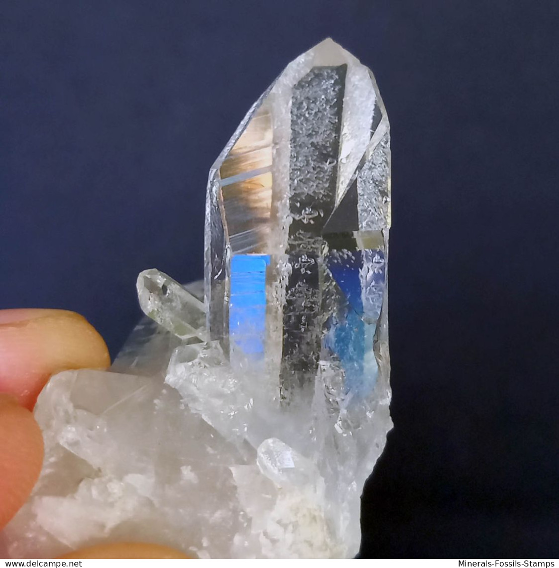 #MB50 Splendido QUARZO Cristalli (Monte Bianco, Val D'Aosta, Italia) - Minerals