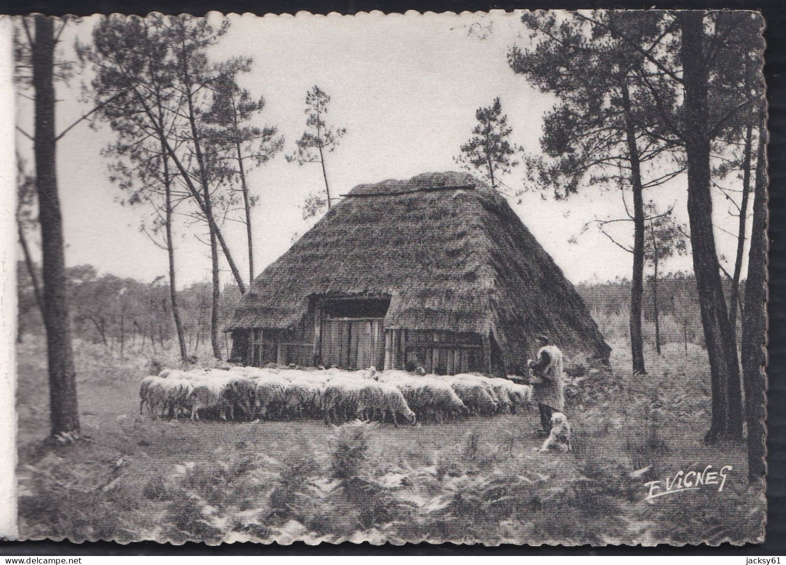 40 - Quelques Jolis Paysages En Gascogne - Aquitaine