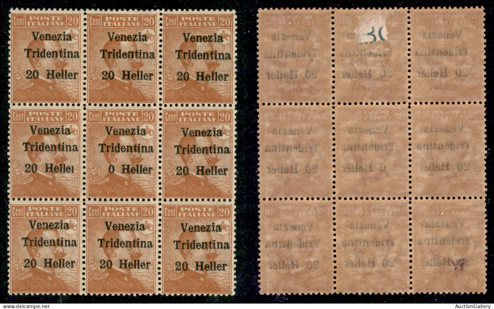 Occupazioni I Guerra Mondiale - Trentino-Alto Adige - 1918 - 20 Heller Su 20 Cent (30) - Blocco Di 9 Con Errori 30d + 30 - Otros & Sin Clasificación