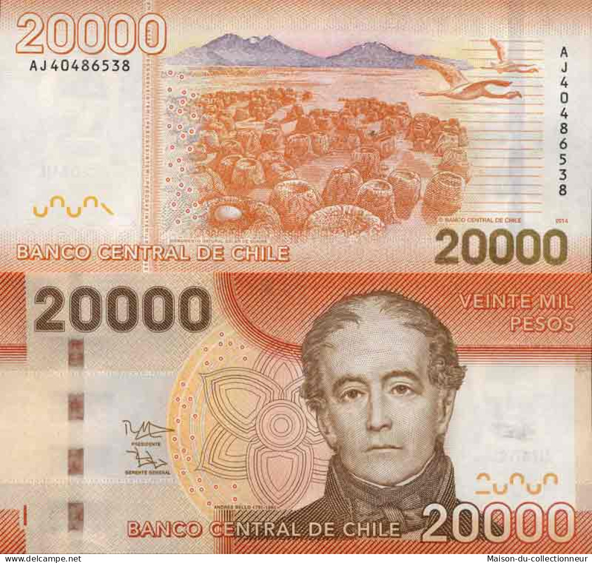 Billet De Banque Collection Chili - PK N° 165 - 20 000 Pesos - Chili