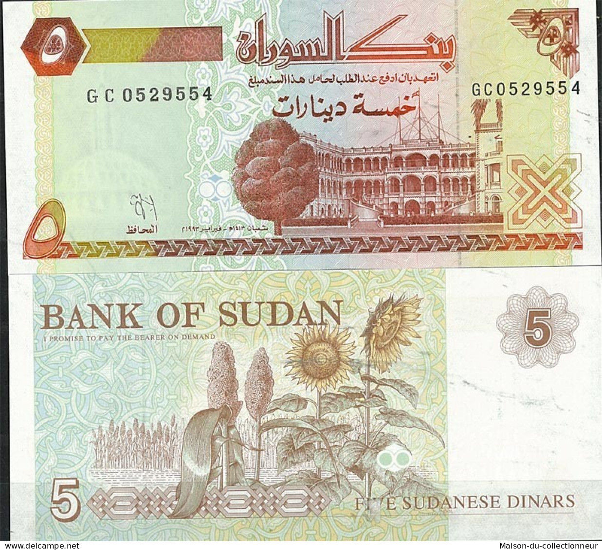 Billet De Banque Soudan Pk N° 51 - De 5 Pounds - Soudan
