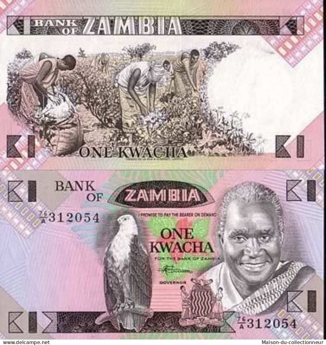 Billets De Banque Zambie Pk N° 23 - 1 Kwacha - Zambie
