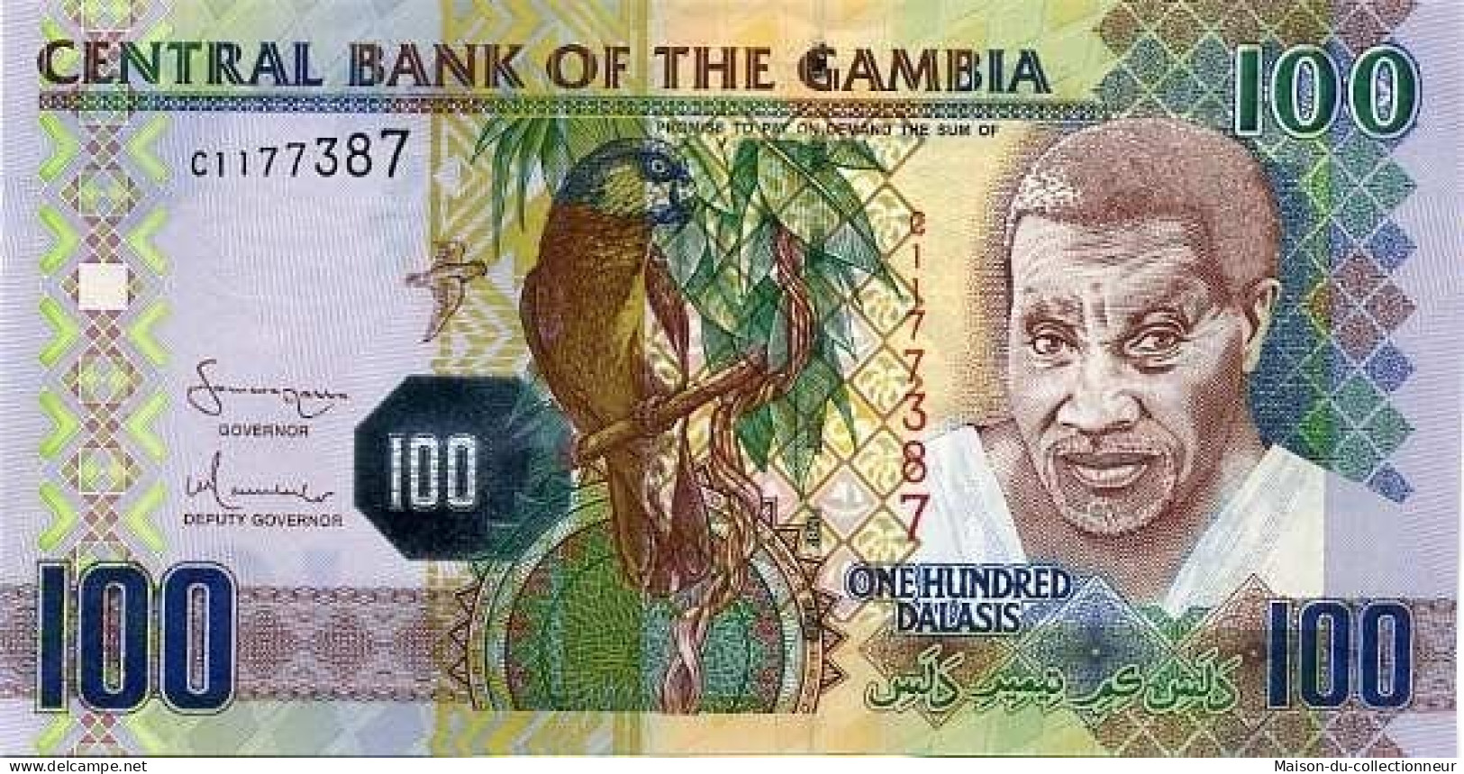 Billets Collection Gambie Pk N° 29 - 100 Dalasis - Gambia