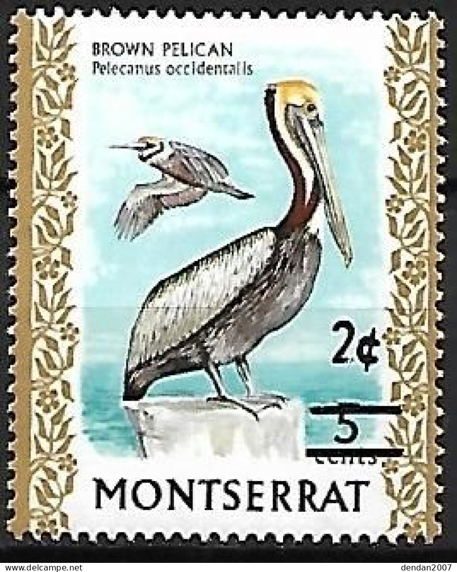 Montserrat - MNH ** 1976 :  Brown Pelican  -  Pelecanus Occidentalis - Pelicans