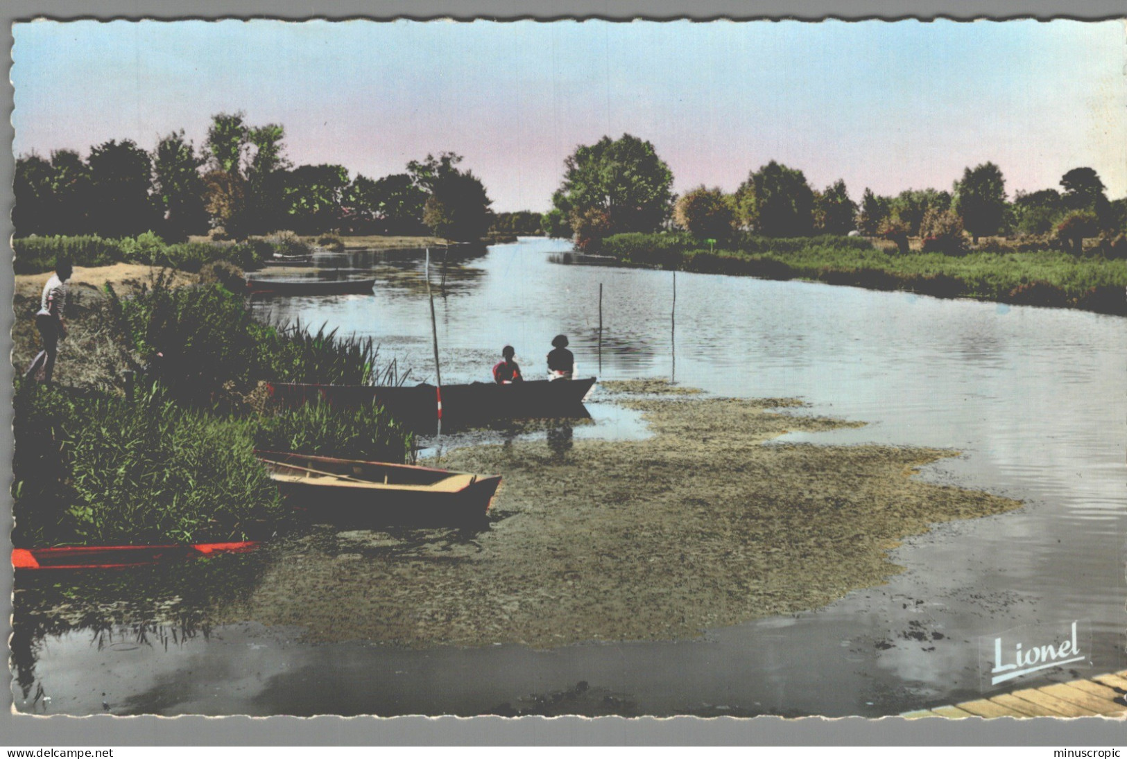 CPSM 49 - Tiercé - La Sarthe à Porte Bise - Tierce