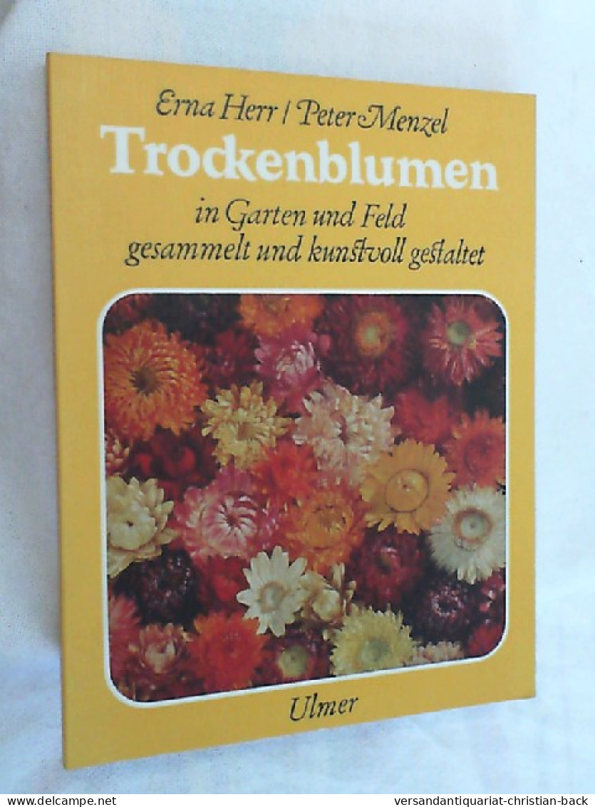 Trockenblumen : In Garten U. Feld Gesammelt U. Kunstvoll Gestaltet. - Botanik
