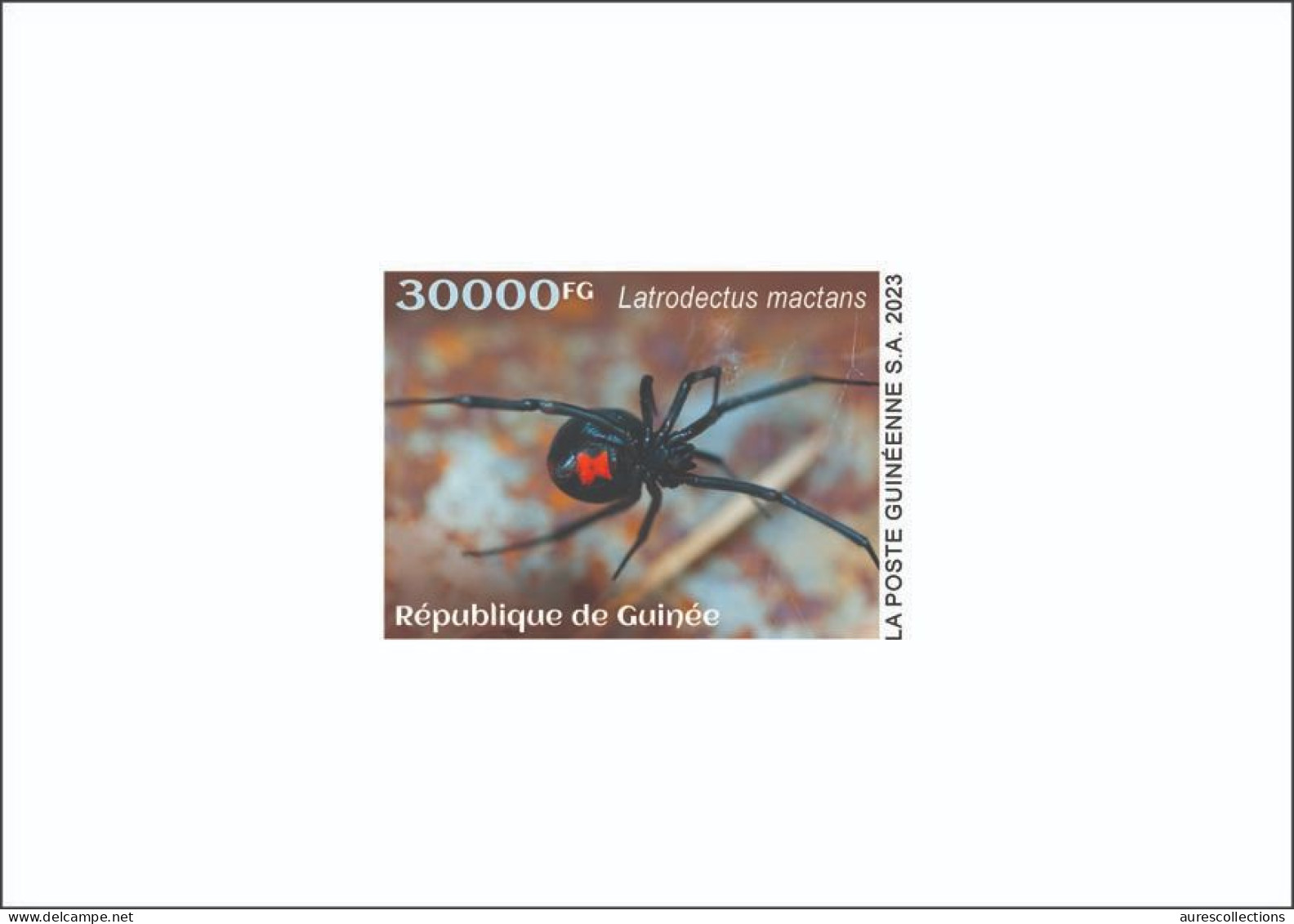 GUINEA 2023 - DELUXE PROOF - TOXIC SPECIES - SPIDERS SPIDER BLACK WIDOW - Spinnen