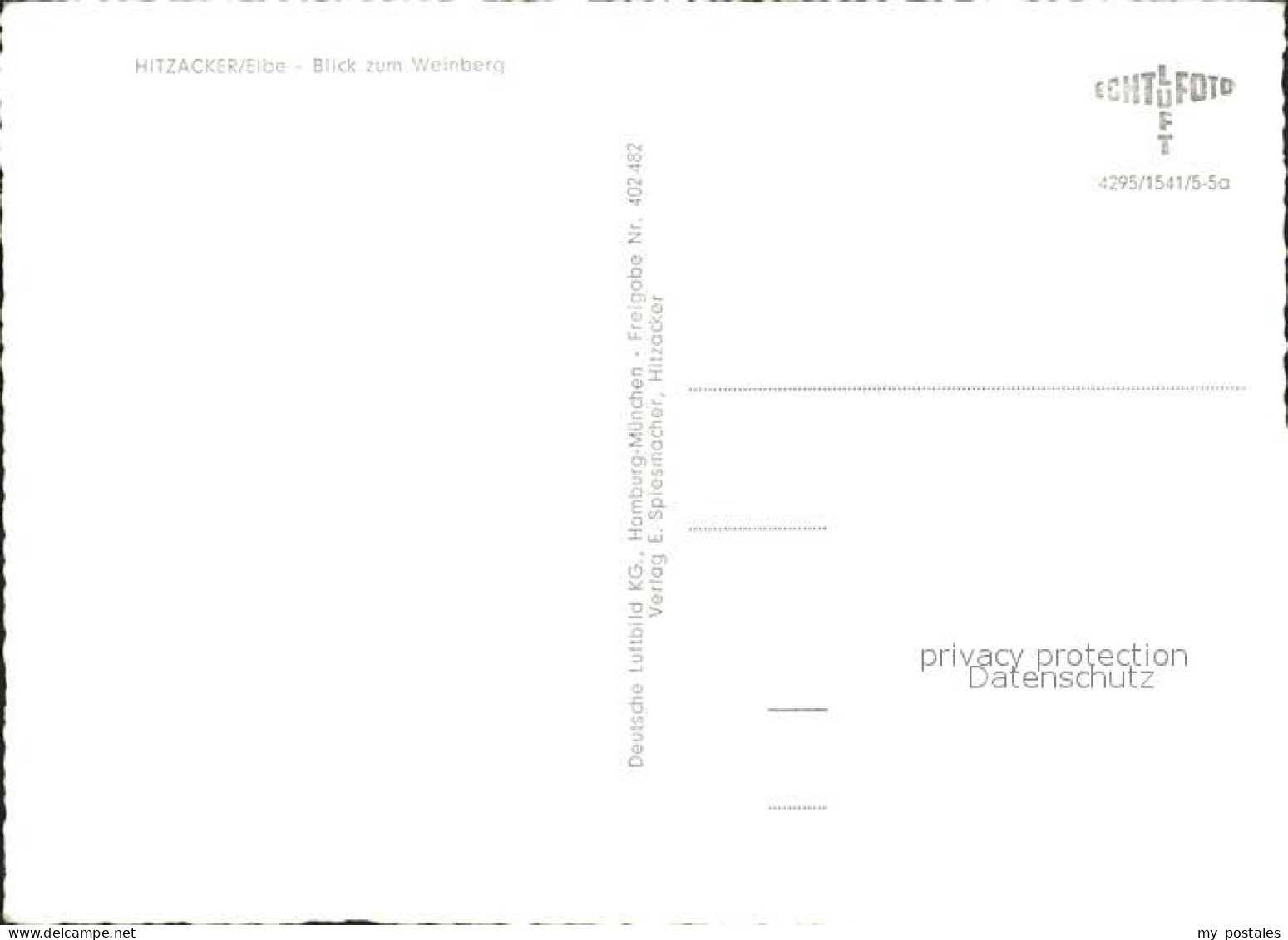 72067260 Hitzacker Elbe Blick Zum Weinberg Fliegeraufnahme Hitzacker - Hitzacker