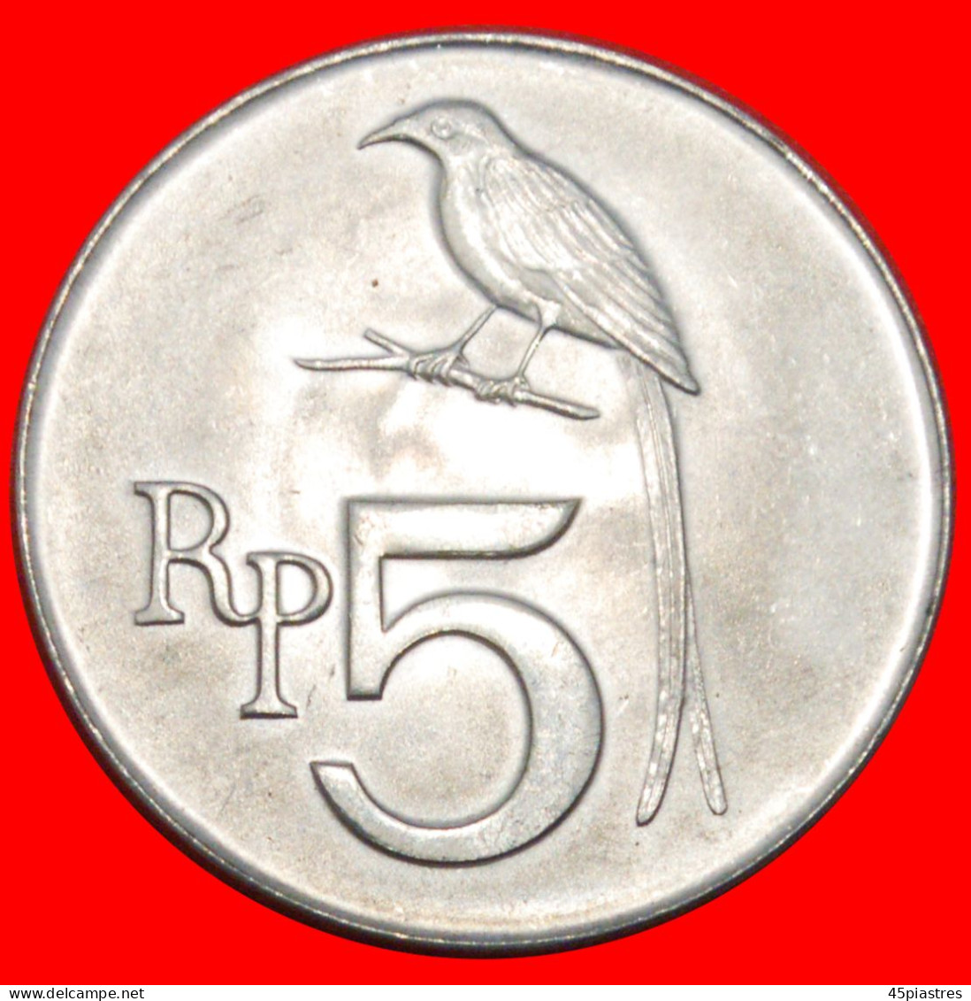 * BIRD DRONGO: INDONESIA  5 RUPIAH 1970 UNC MINT LUSTRE!· LOW START ·  NO RESERVE! - Indonesien