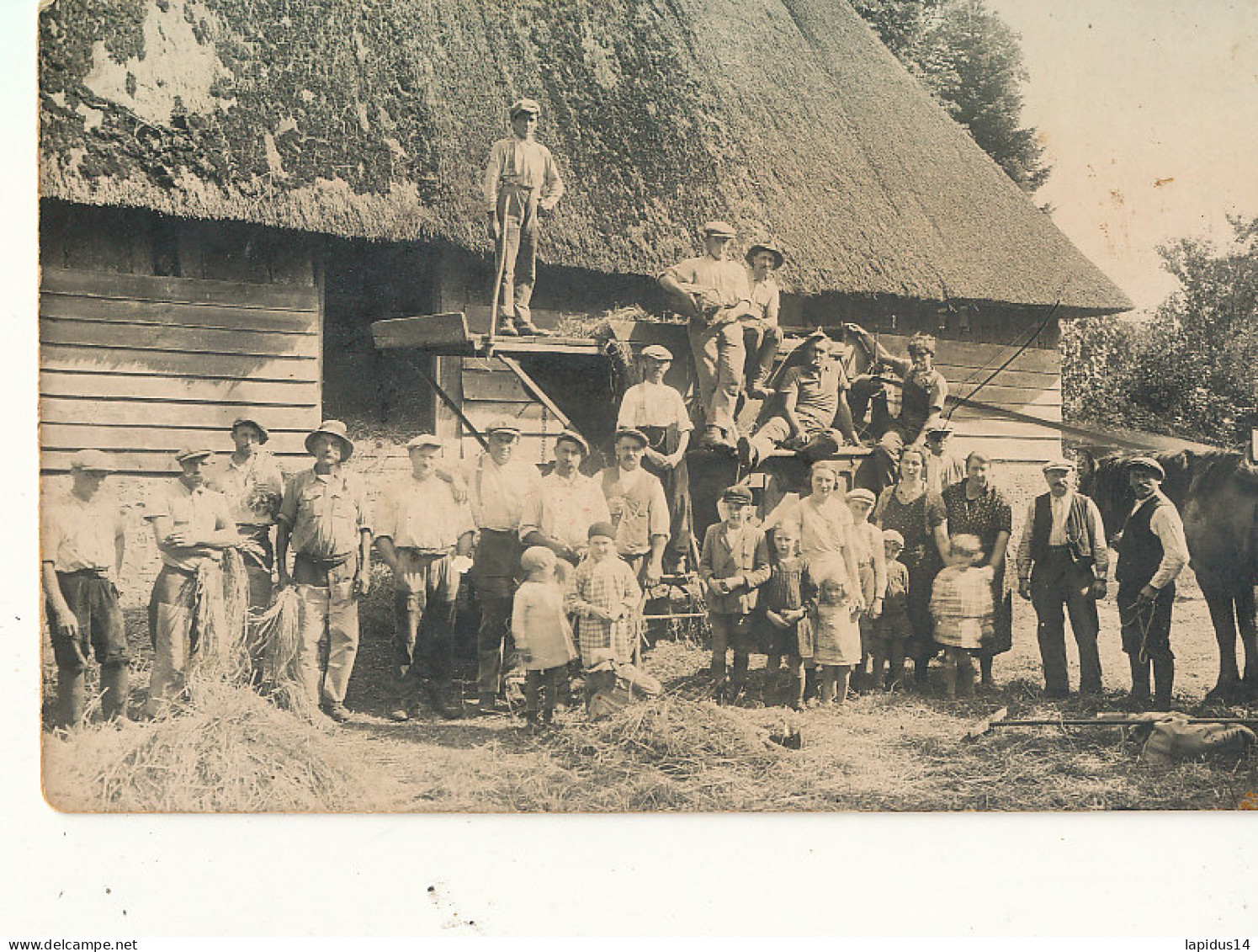 AY 263 -  CARTE PHOTO  AGRICULTURE  NON SITUEE  - Tracteurs