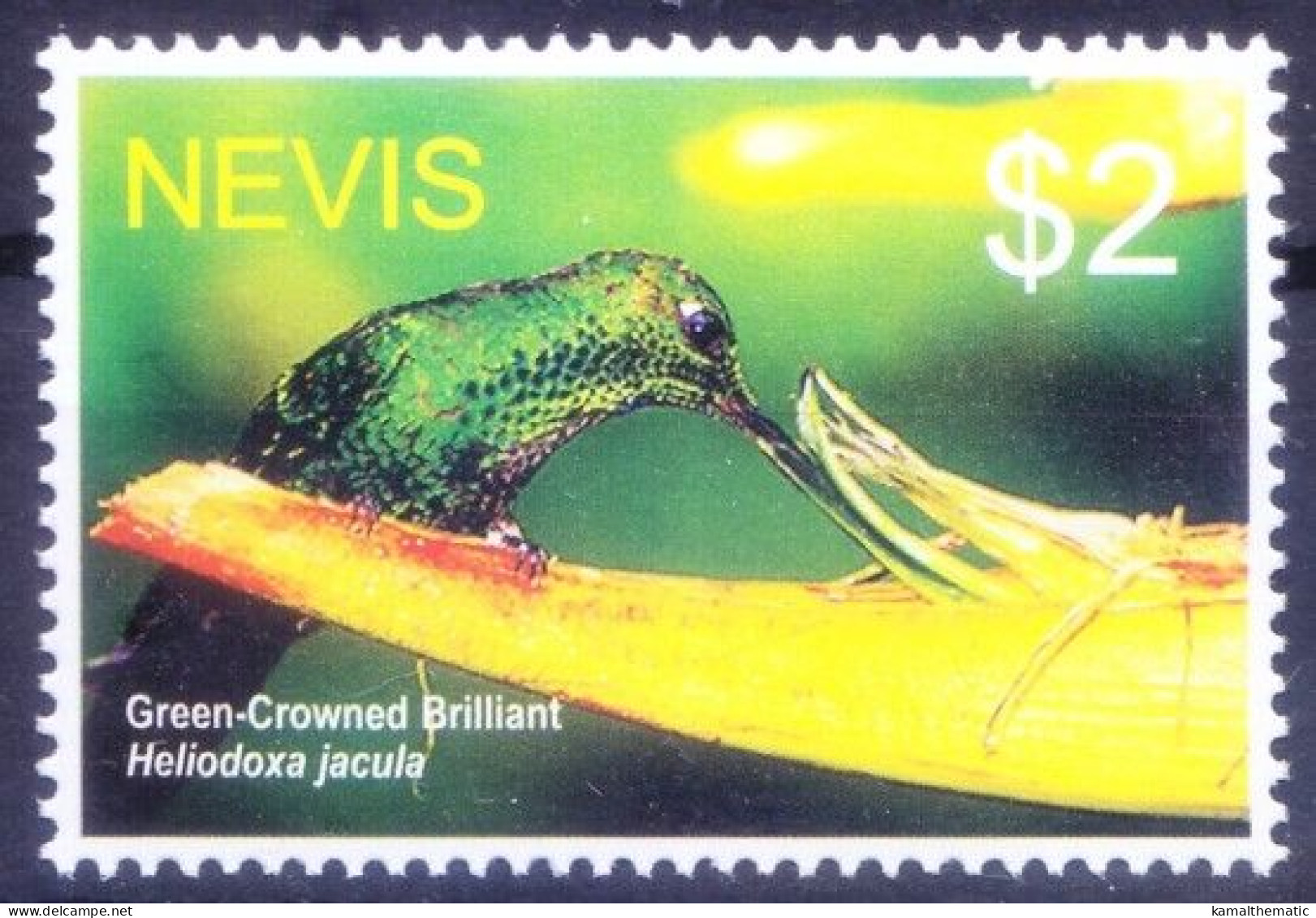 Nevis 2005 MNH, Green-crowned Brilliant, Hummingbirds, Birds - Kolibries