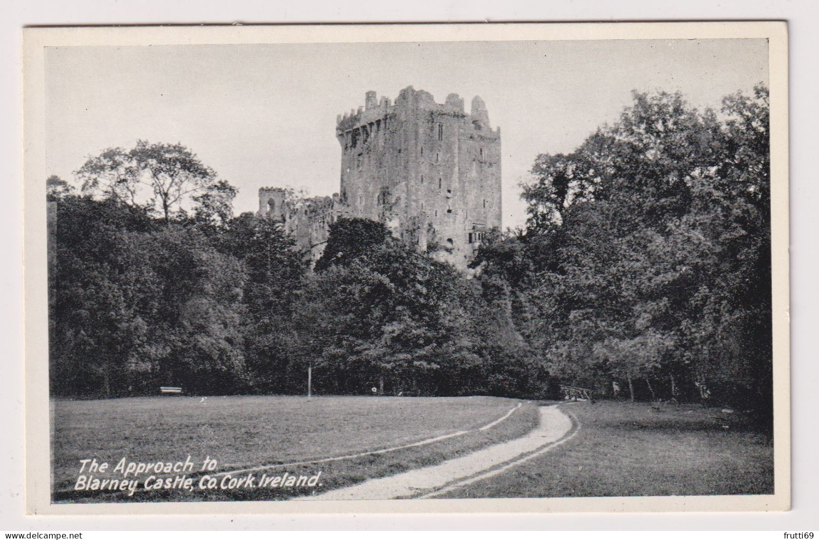 AK 197660 IRELAND - The Approach To Blarney Castle - Co. Cork - Cork