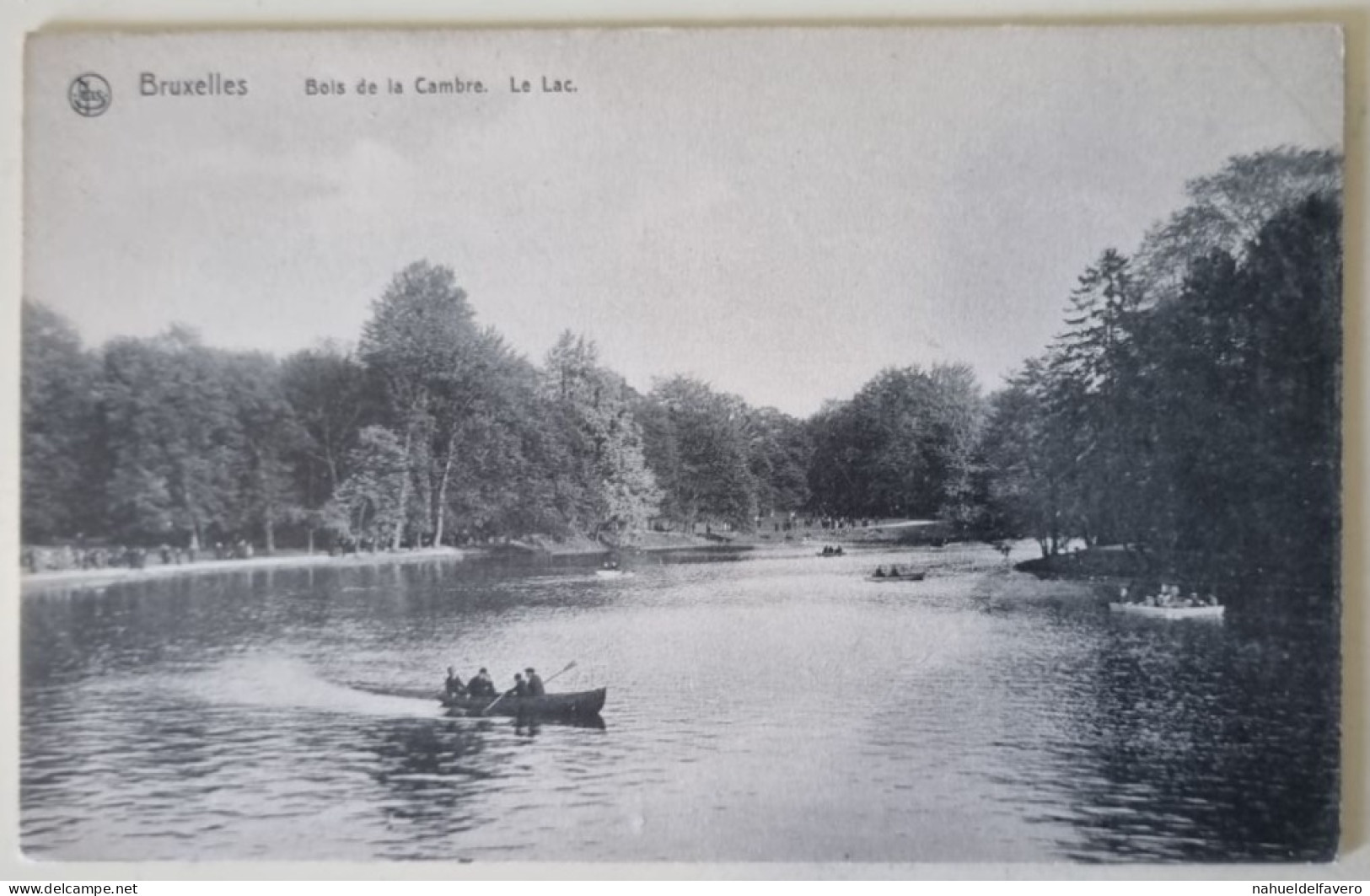 Carte Postale Non Circulée - BELGIQUE, BRUXELLES, Bois De La Cambre, Le Lac - Forêts, Parcs, Jardins