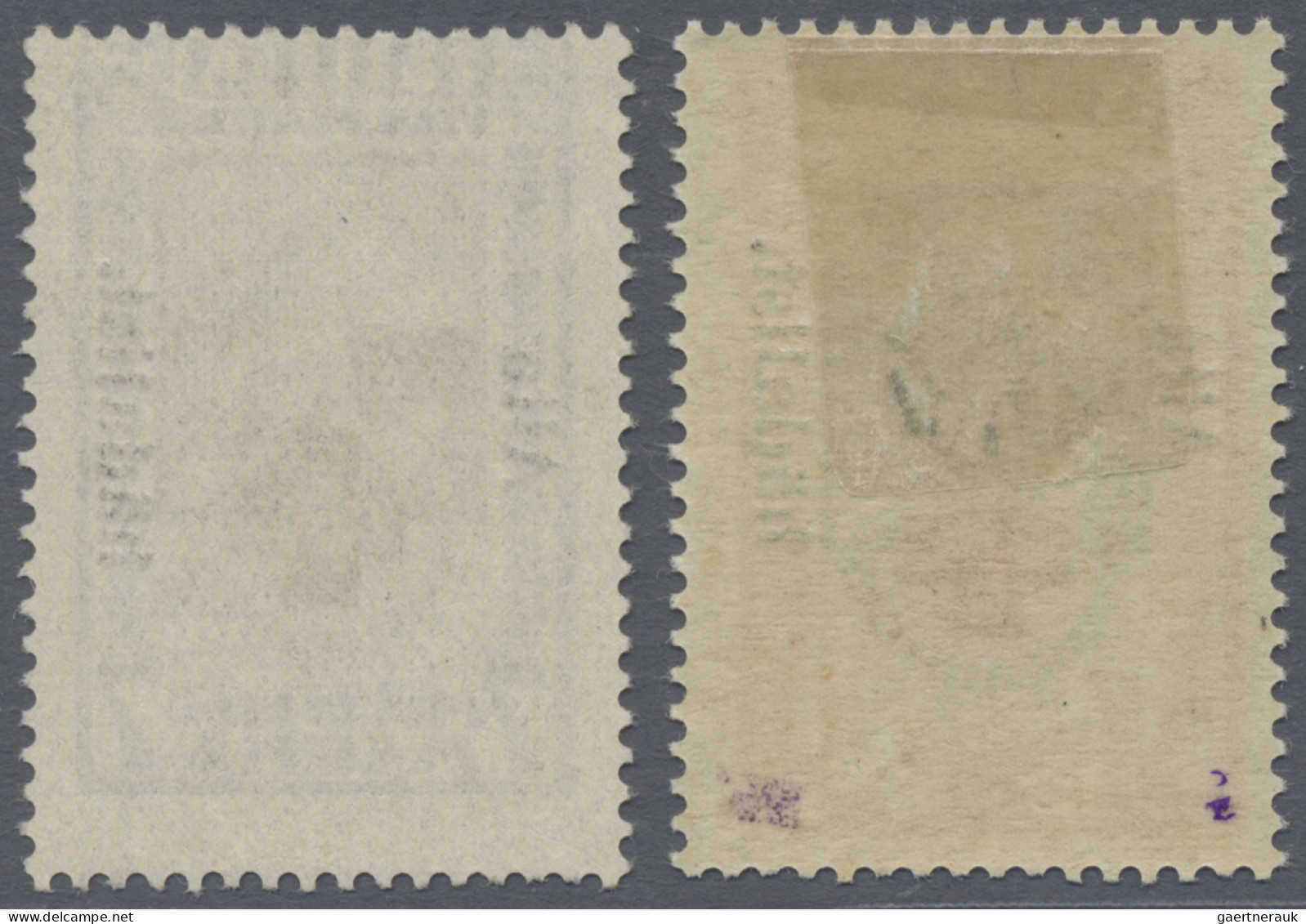 Estonia: 1923, Social Welfare "Aita Hädalist" Perforated, Both Values Unused, 2½ - Estland