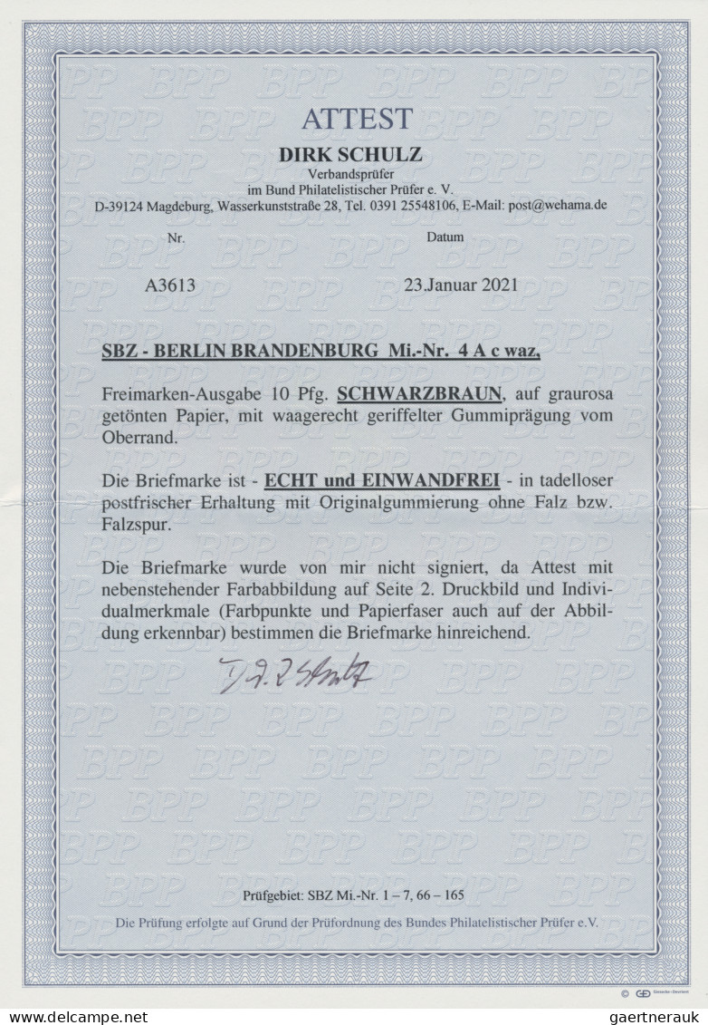 Sowjetische Zone - Berlin Und Brandenburg: 1945, 10 Pf Berliner Bär, Schwarzbrau - Sonstige & Ohne Zuordnung