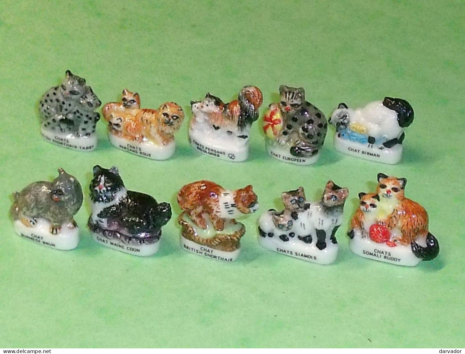 fèves : la famille chat  Chat, Collection de feves, Feves