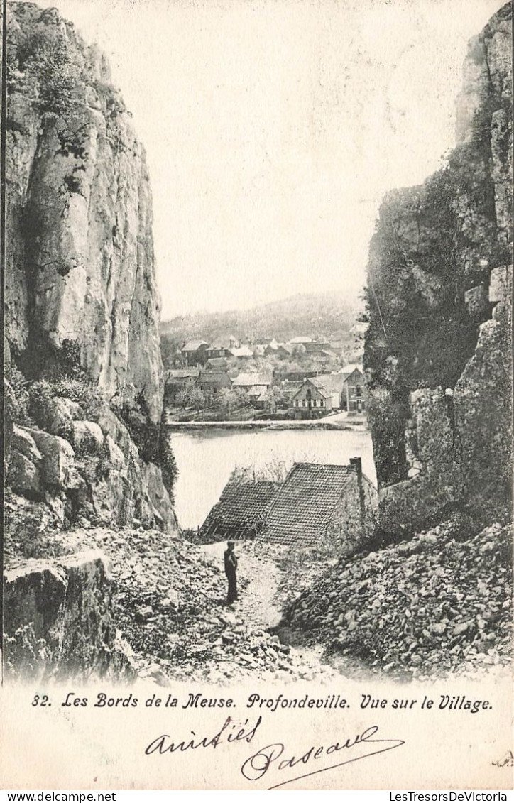 BELGIQUE - Les Bords De La Meuse - Profondeville - Vue Sur Le Village - Carte Postale Ancienne - Profondeville